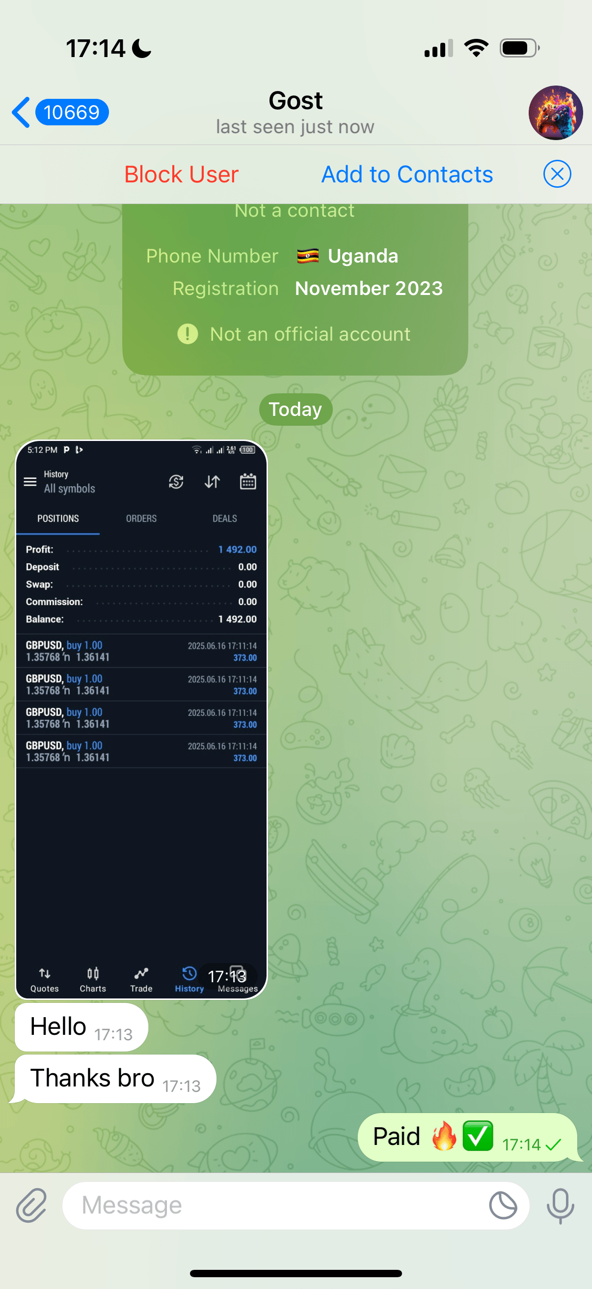 Financial data mobile view